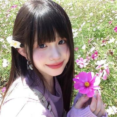 科搜研之女第24季